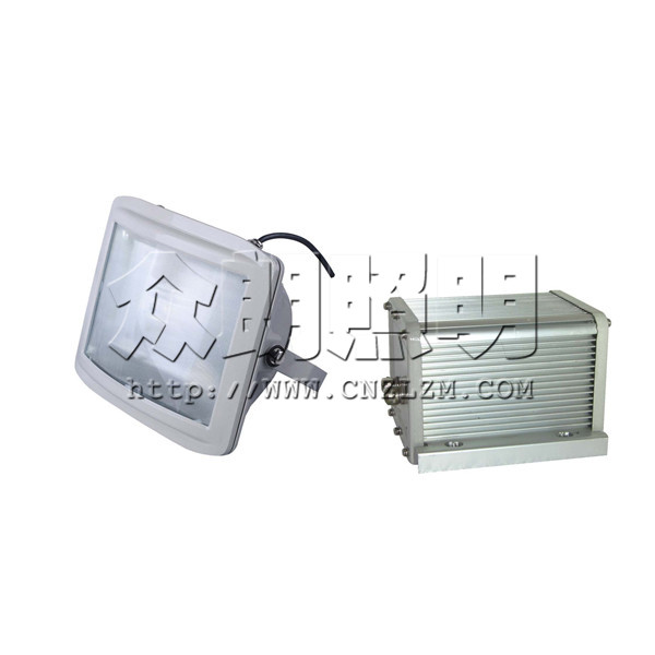 NSE9720應急通路燈