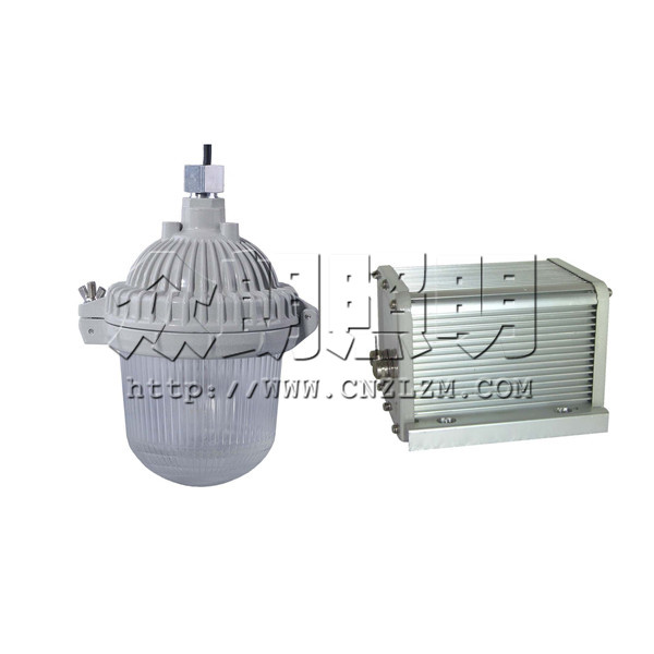 NFE9112應(yīng)急平臺燈